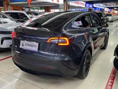 Tesla Model Y Rear-Wheel Drive - ფოტო 6