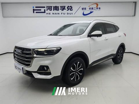 2022 Haval H6 2021 National Trend Edition 1.5T Automatic Urban Version - ავტომობილი ჩინეთიდან
