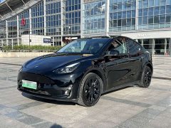 Tesla Model Y Long Range All-Wheel Drive 3D7 - ფოტო 1