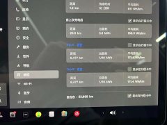 Tesla Model Y Long Range All-Wheel Drive 3D7 - ფოტო 11