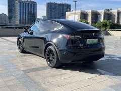 Tesla Model Y Long Range All-Wheel Drive 3D7 - ფოტო 2