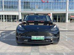 Tesla Model Y Long Range All-Wheel Drive 3D7 - ფოტო 4