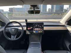 Tesla Model Y Long Range All-Wheel Drive 3D7 - ფოტო 9