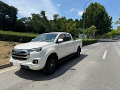 Domain Tiger Yuhu 7 2.0T Automatic Gasoline Two-Wheel Drive Comfort Long Wheelbase JX4G20A6L - фото 1