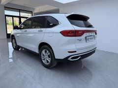 Haval M6 PLUS 1.5T Manual Elite Smart Connected Edition - ფოტო 6