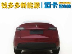 Tesla Model Y 2022 Facelift Rear-Wheel Drive - ფოტო 5