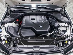 BMW 3 Series 320Li M Sport Package - ფოტო 18