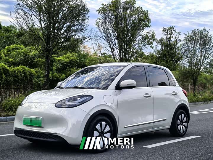 Wuling Binguo 333km Joy Edition
