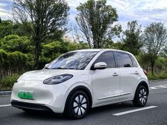 Wuling Binguo 333km Joy Edition - ფოტო 1