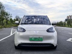 Wuling Binguo 333km Joy Edition - ფოტო 2