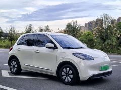 Wuling Binguo 333km Joy Edition - ფოტო 3