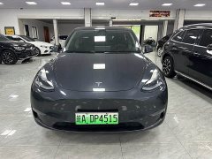 Tesla Model Y Long Range All-Wheel Drive - ფოტო 1