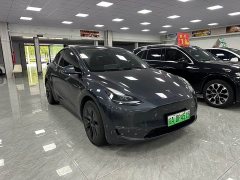 Tesla Model Y Long Range All-Wheel Drive - ფოტო 3