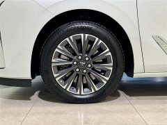 Buick GL8 Luzun Respect Edition - ფოტო 10