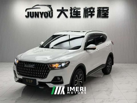 2023 Haval H6 National Trend Edition 1.5T Automatic Urban Version - ავტომობილი ჩინეთიდან