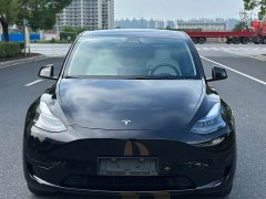 Tesla Model Y 2023 Rear-Wheel Drive - ფოტო 1