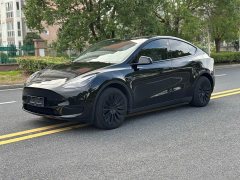 Tesla Model Y 2023 Rear-Wheel Drive - ფოტო 2
