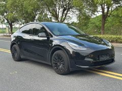 Tesla Model Y 2023 Rear-Wheel Drive - ფოტო 3