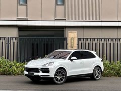 Porsche Cayenne 3.0T Platinum Edition - ფოტო 1