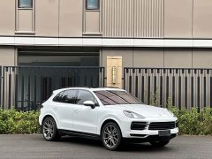 Porsche Cayenne 3.0T Platinum Edition - ფოტო 3