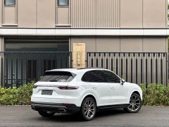 Porsche Cayenne 3.0T Platinum Edition - ფოტო 4