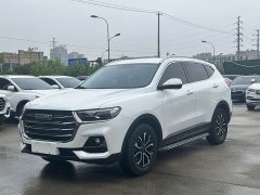 Haval H6 2021 National Trend Edition 1.5T Automatic Urban Version - ფოტო 1