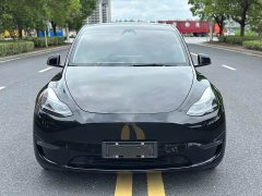 Tesla Model Y Facelift Long Range All-Wheel Drive - ფოტო 1