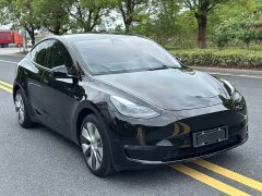 Tesla Model Y Facelift Long Range All-Wheel Drive - ფოტო 3