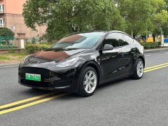 Tesla Model Y Rear-Wheel Drive - ფოტო 2