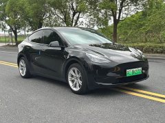 Tesla Model Y Rear-Wheel Drive - ფოტო 3