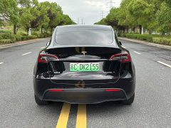 Tesla Model Y Rear-Wheel Drive - ფოტო 8