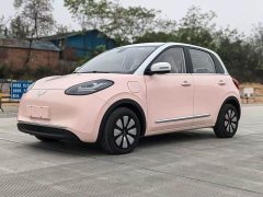Wuling Binguo 2023 410km Lingxi Premium Edition - ფოტო 1