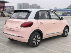 Wuling Binguo 2023 410km Lingxi Premium Edition - ფოტო 4