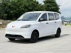 Wuling Hongguang New Energy 2024 Pure Electric 300KM Standard - ფოტო 1