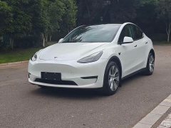 Tesla Model Y Long Range All-Wheel Drive - ფოტო 1