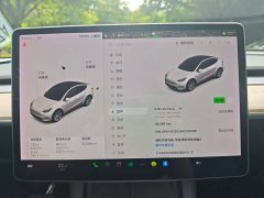Tesla Model Y Long Range All-Wheel Drive - ფოტო 13