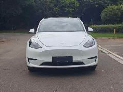 Tesla Model Y Long Range All-Wheel Drive - ფოტო 2