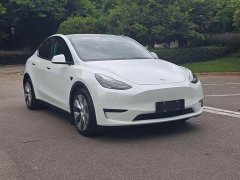 Tesla Model Y Long Range All-Wheel Drive - ფოტო 3