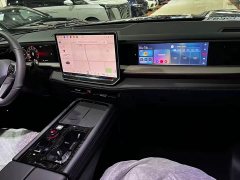 Volkswagen Teramont Pro 450TSI AWD Pilot Edition - ფოტო 10