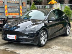 Tesla Model Y 2021 Standard Range RWD - ფოტო 1