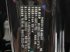Jetour Jietu Dasheng 1.5T DCT Starlight PRO - ფოტო 19