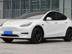 Tesla Model Y Rear-Wheel Drive - ფოტო 1