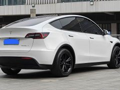 Tesla Model Y Rear-Wheel Drive - ფოტო 10