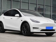 Tesla Model Y Rear-Wheel Drive - ფოტო 3