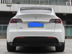 Tesla Model Y Rear-Wheel Drive - ფოტო 8