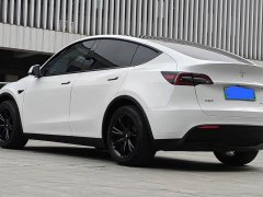 Tesla Model Y Rear-Wheel Drive - ფოტო 9