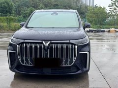 Voyah Dream PHEV Extended Range Luxury Edition - ფოტო 5