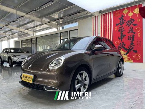 2022 ORA Good Cat 400km Standard Range Deluxe Ternary Lithium - ავტომობილი ჩინეთიდან