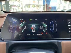 ORA Good Cat 400km Standard Range Deluxe Ternary Lithium - ფოტო 15