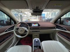 ORA Good Cat 400km Standard Range Deluxe Ternary Lithium - ფოტო 17